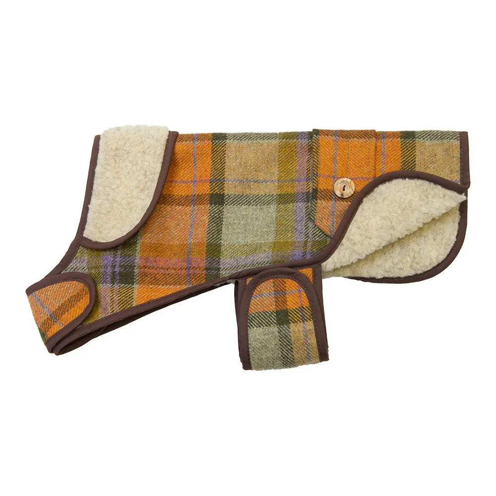 EARTHBOUND English Tweed Sherpa Dog Coat