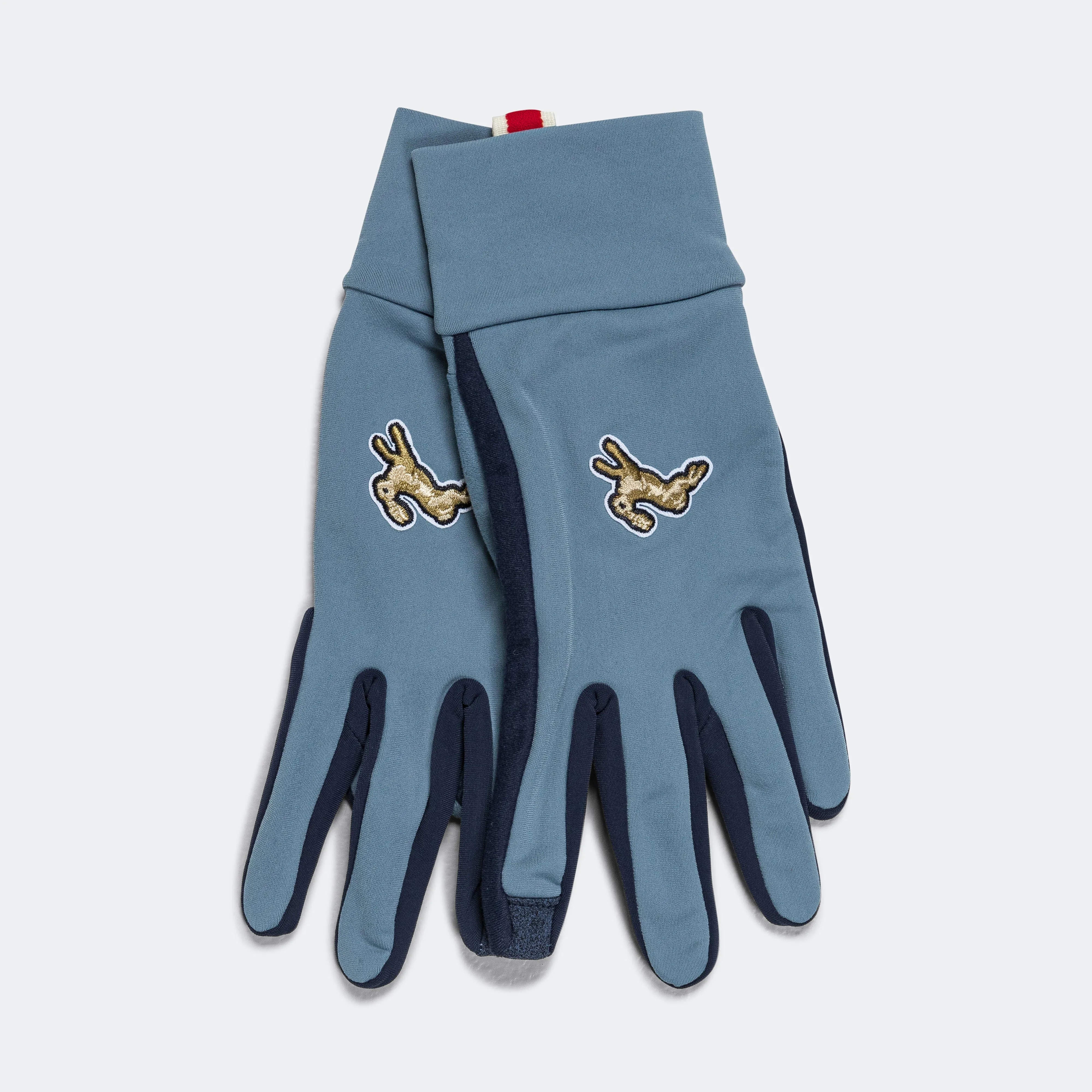 Inverno Gloves - Lagoon/Navy